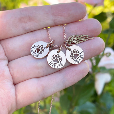 Personalized Rainbow Bridge Paw Necklace